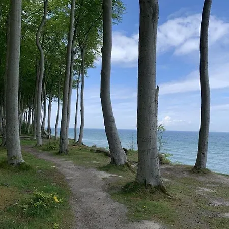 度假居 Luxury With Sauna *